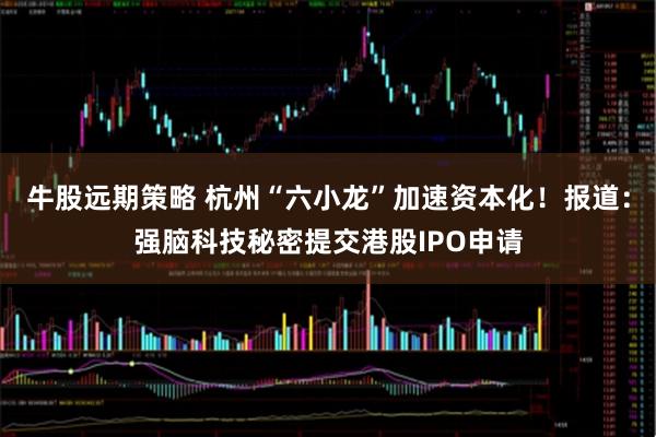 牛股远期策略 杭州“六小龙”加速资本化！报道：强脑科技秘密提交港股IPO申请